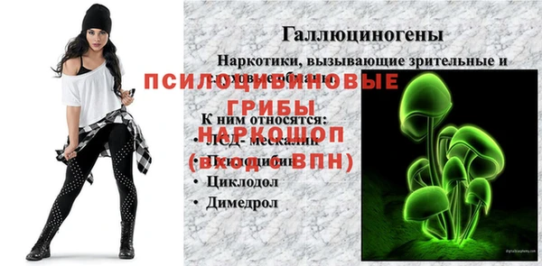 марки lsd Инсар