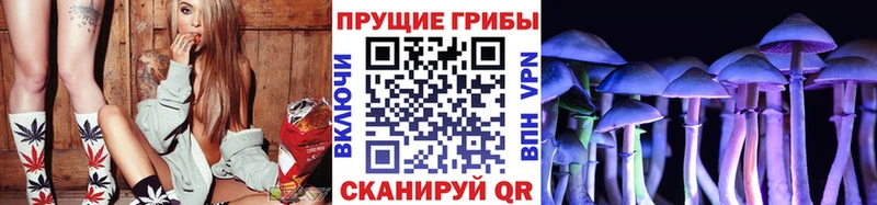 купить закладку  Арзамас  Псилоцибиновые грибы мицелий 